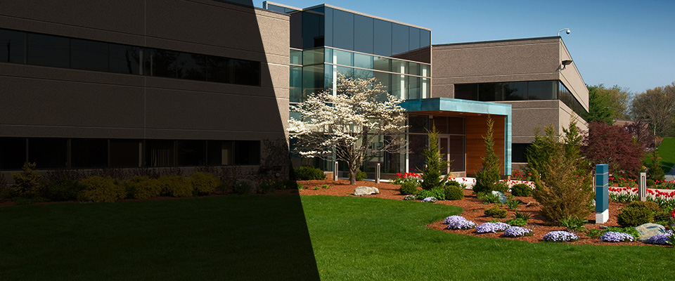 Fredericksburg Landscapers