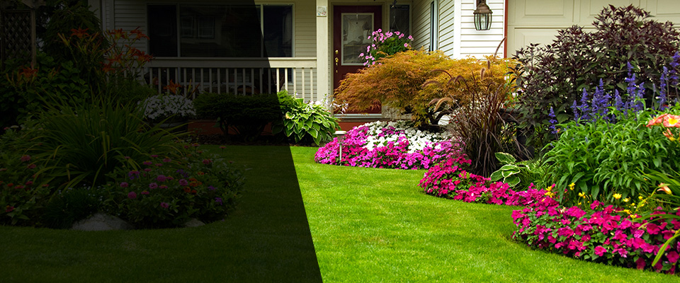 Fredericksburg Landscapers